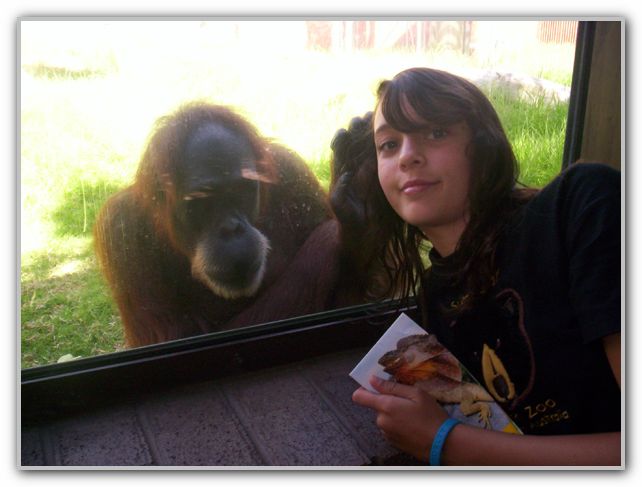 TK & Friend at Perth Zoo Feb 16th 2007 1